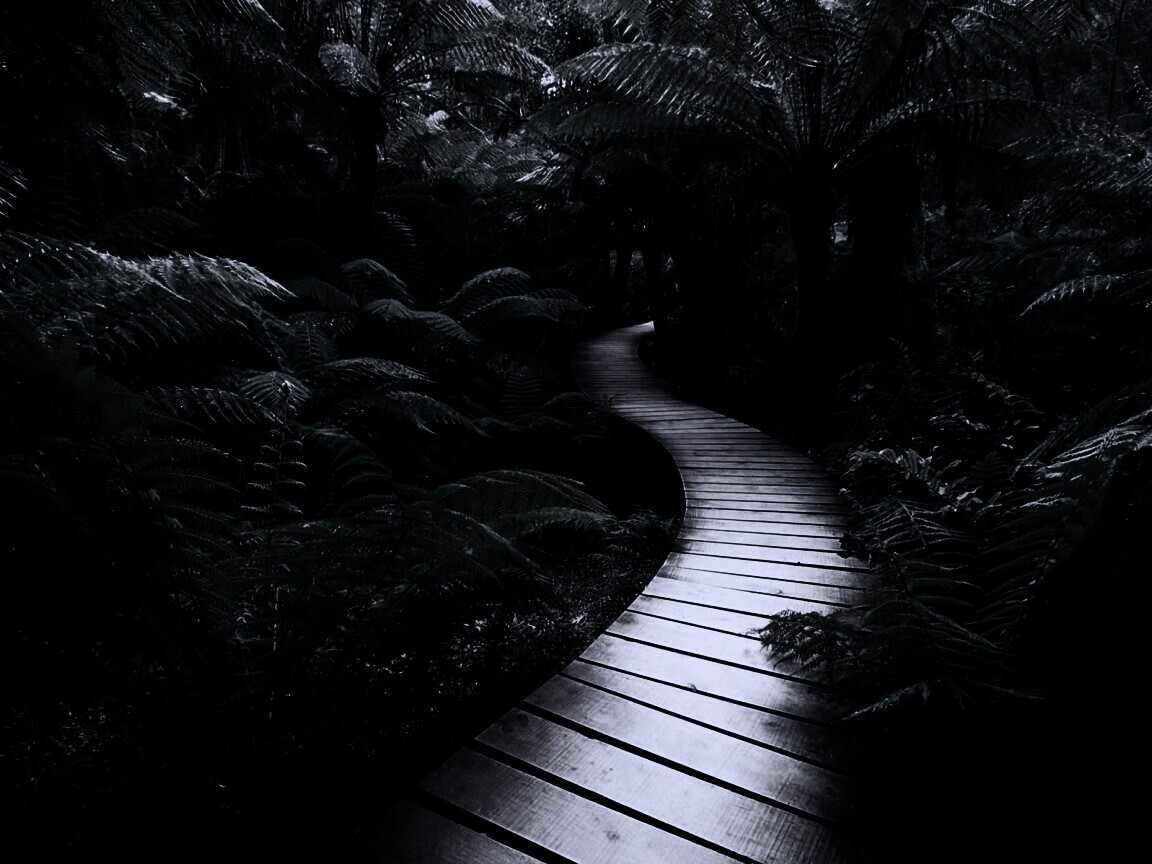 Дорожка в зарослях обои