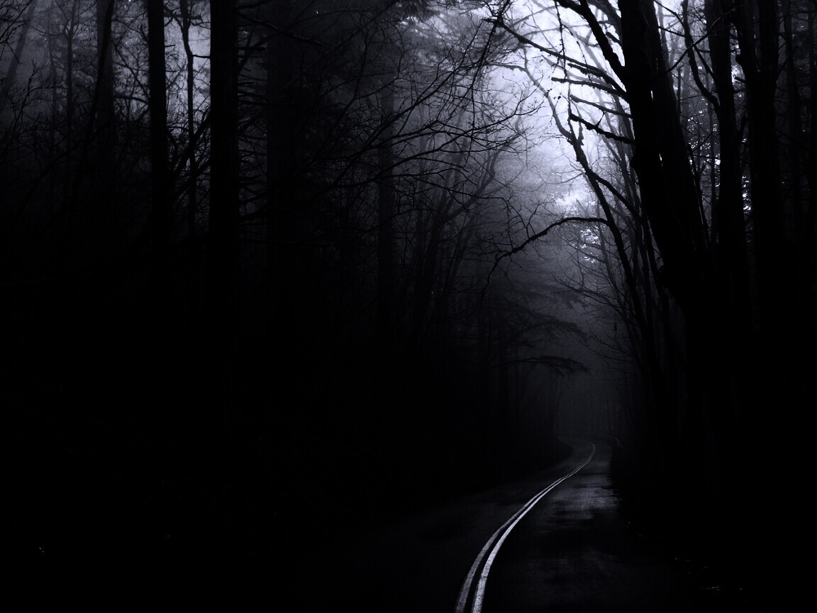 В туман обои