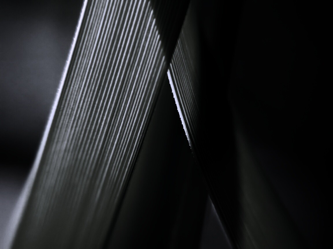 Травинки на свету обои