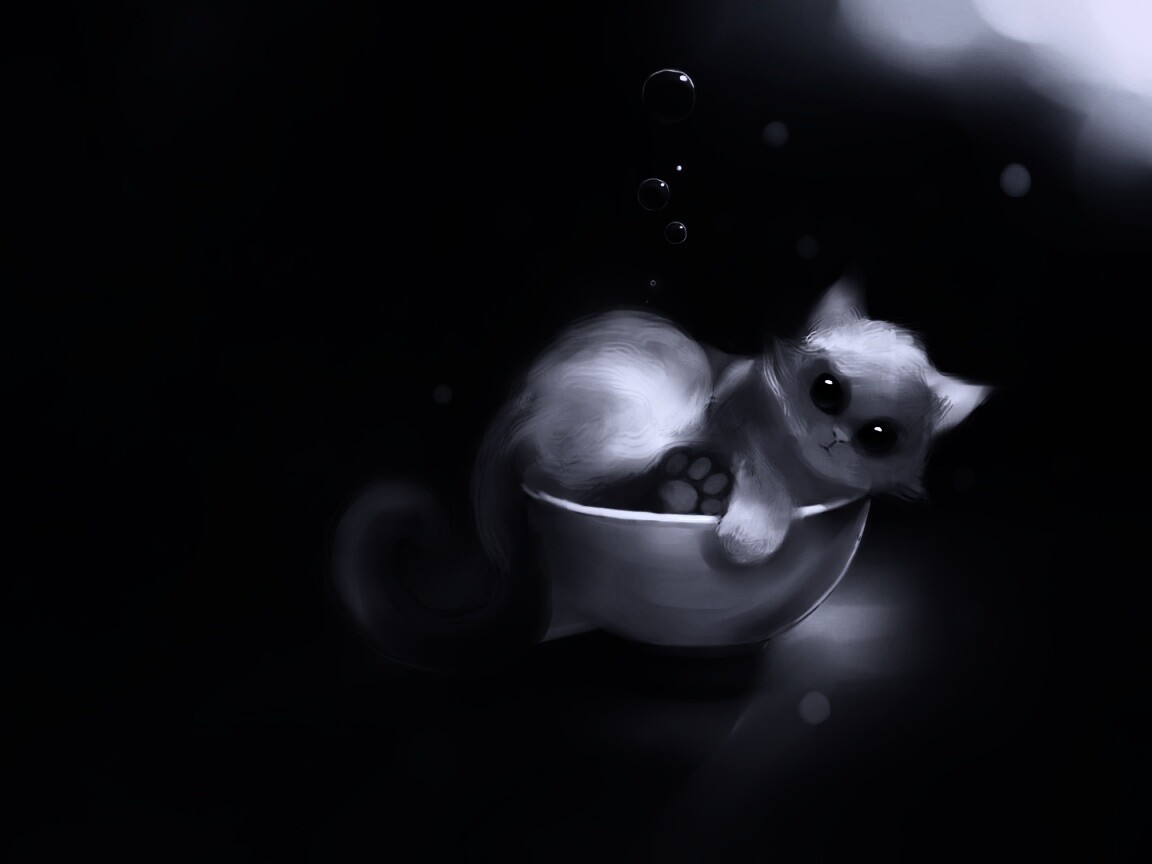 Котёнок в миске обои