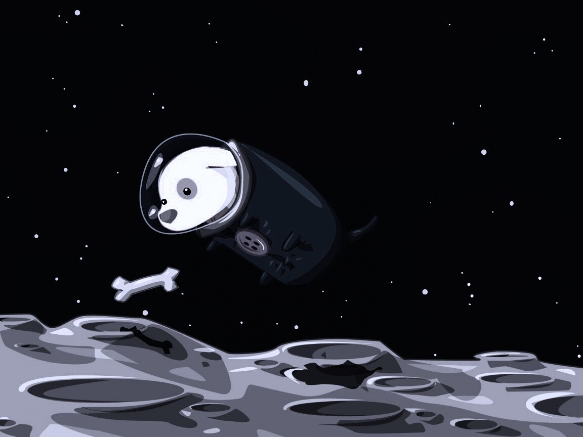 Собачка на луне обои