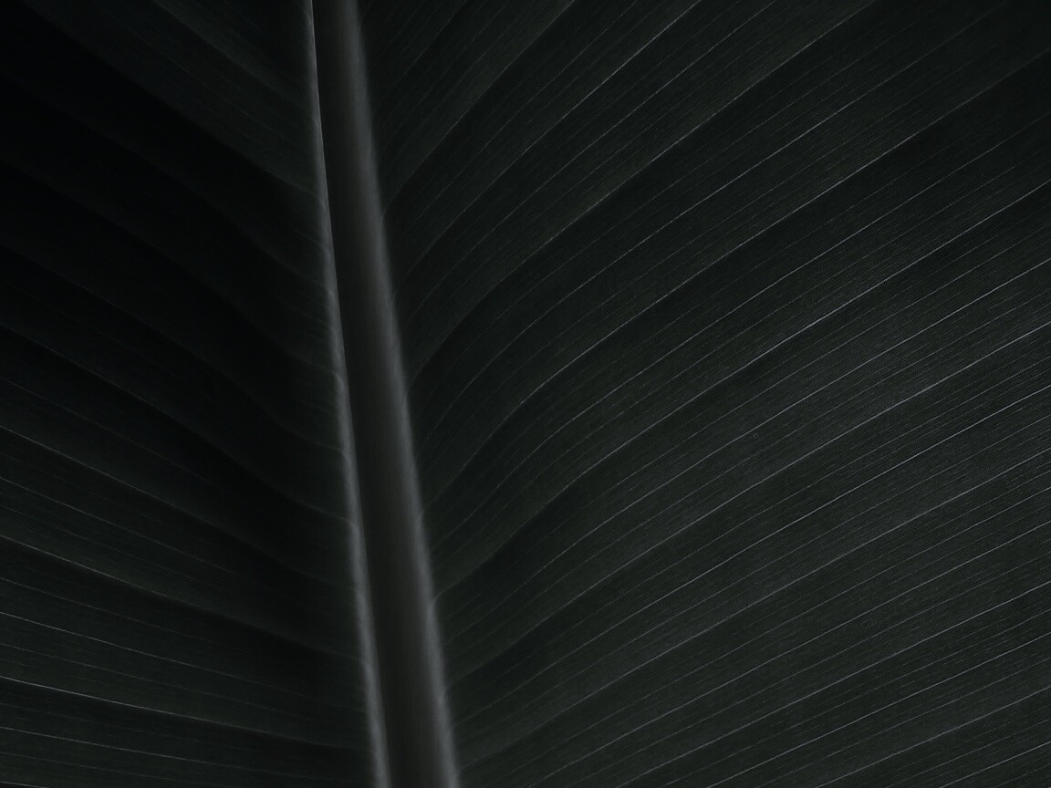 Желтый черенок листа обои