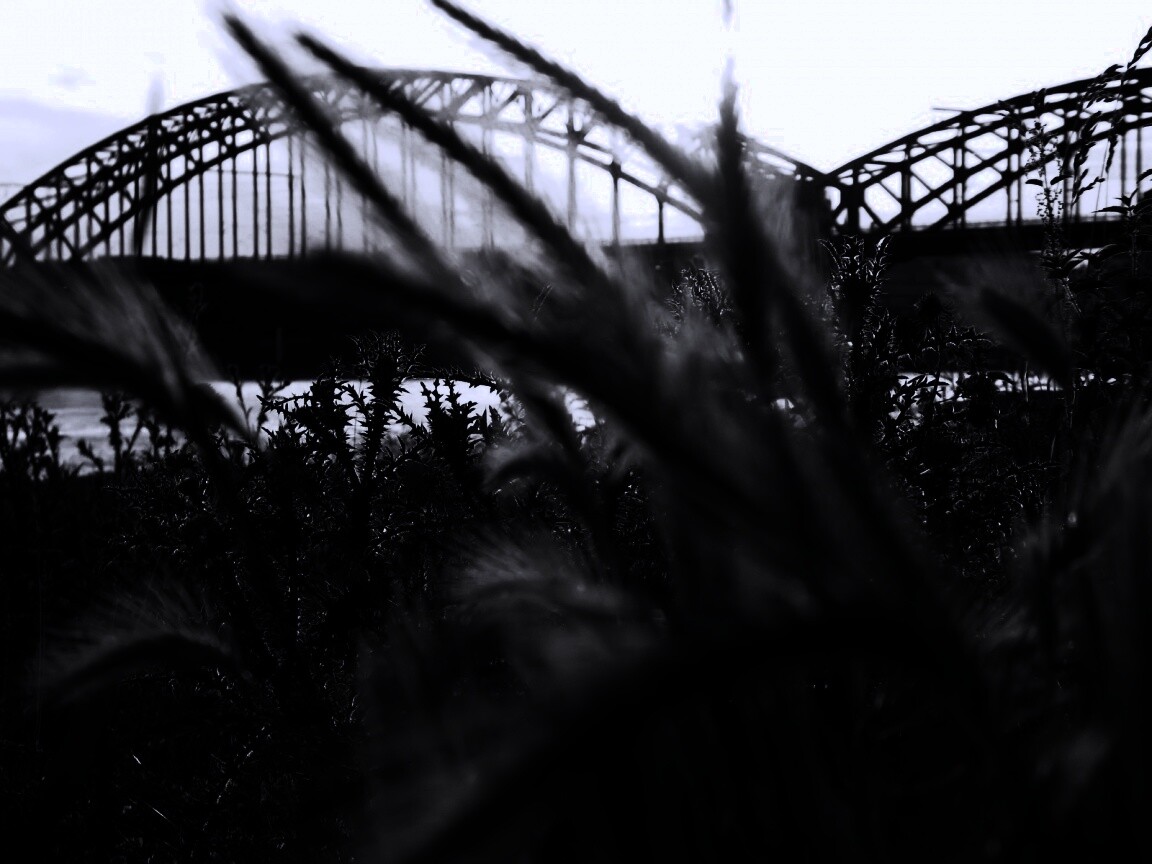 Железнодорожный мост обои