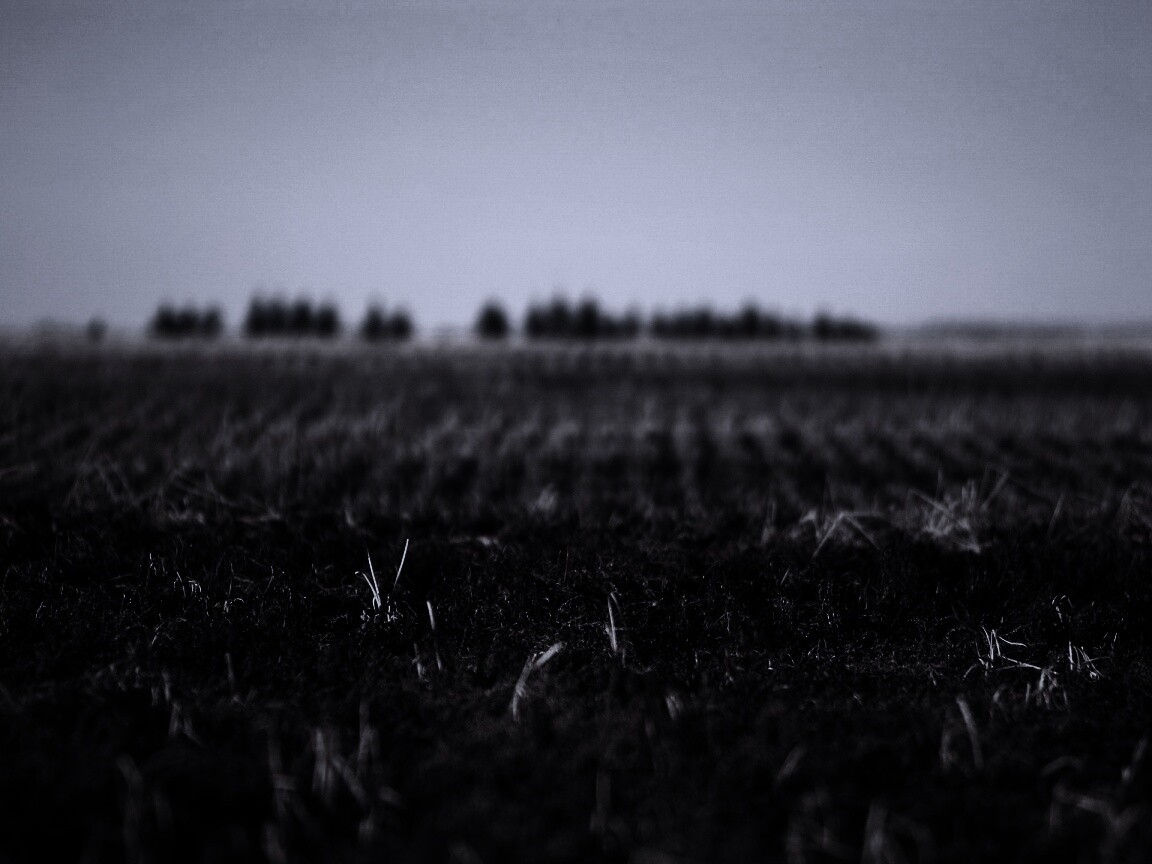 Поле перед вспашкой обои