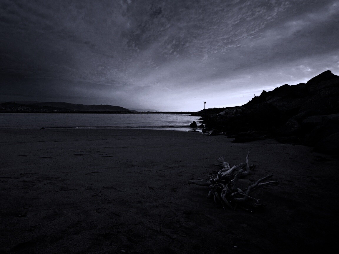 Коряга не берегу обои