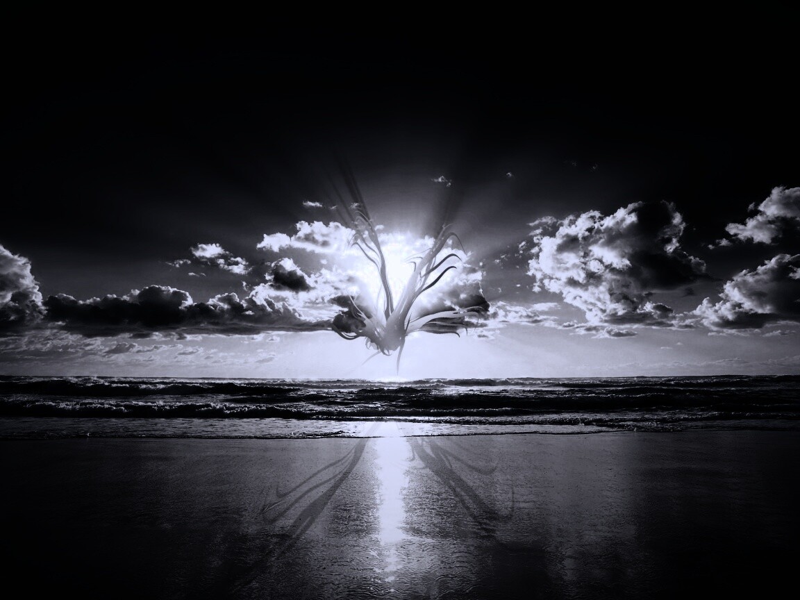 Абстрактные перья на фоне заката обои