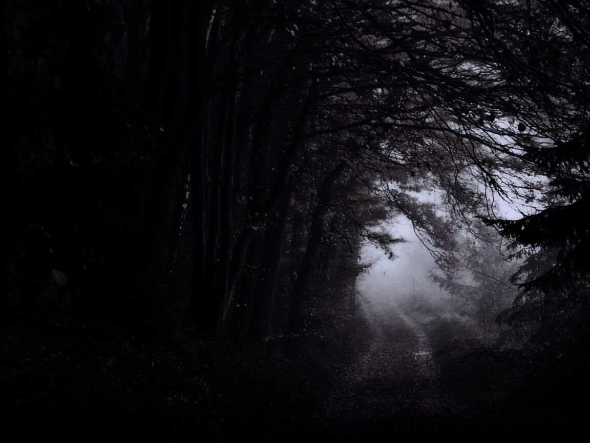 Дорожка заваленная листьями обои