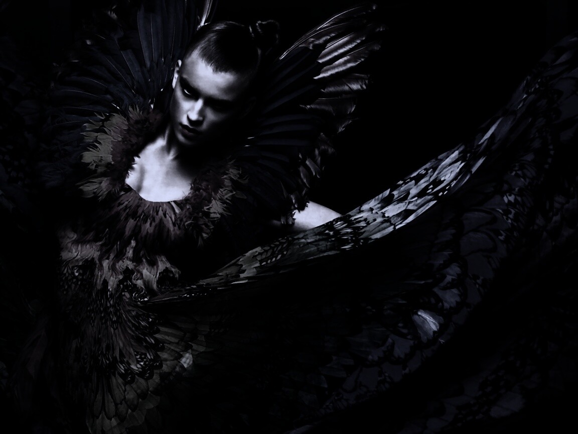 Костюм жар птицы обои