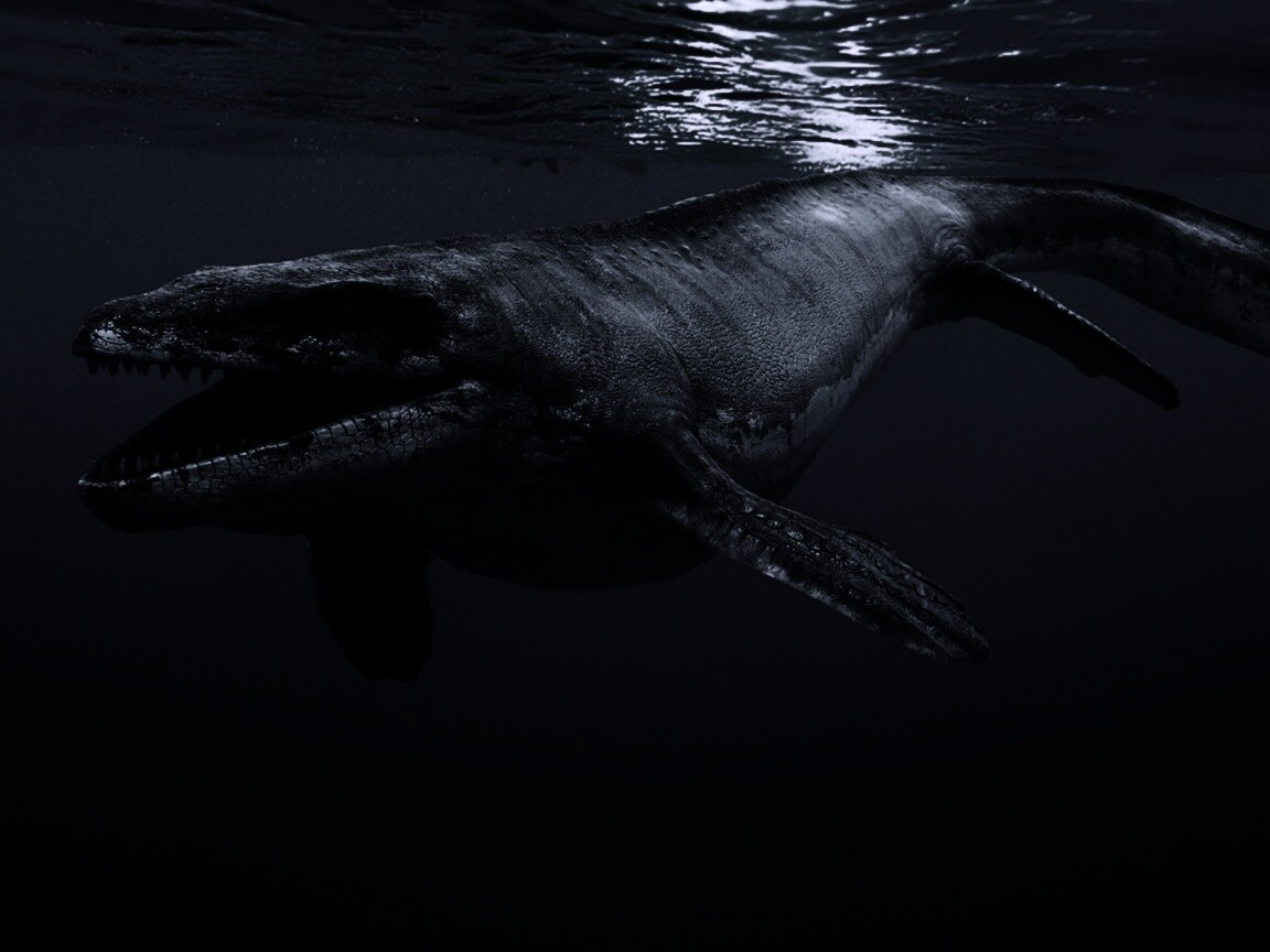 Морской динозавр обои