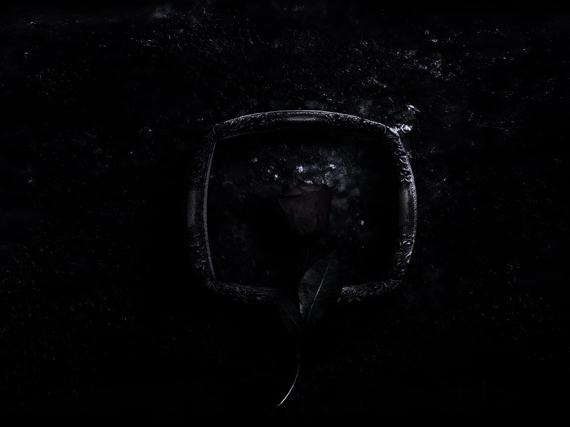 Роза на картинной раме обои