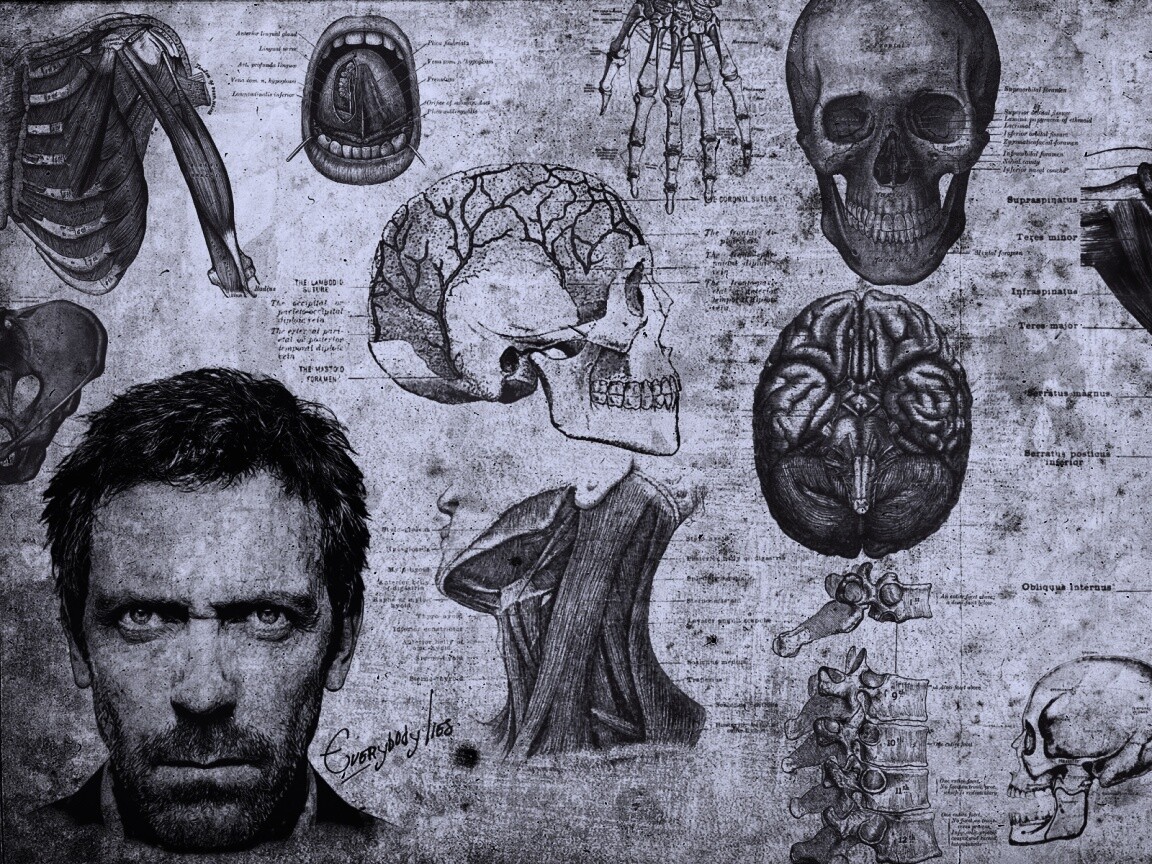 Анатомические рисунки доктора Хауса обои