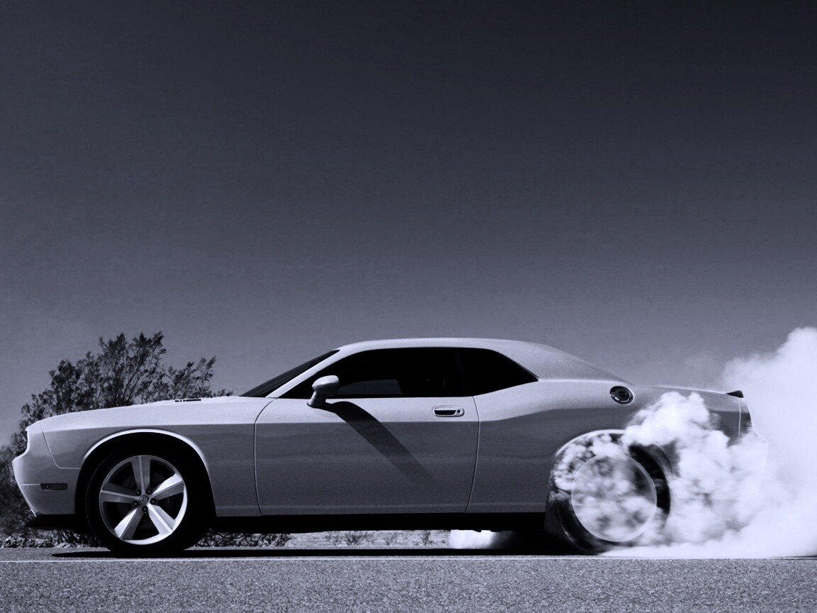 Стартующий Форд Мустанг обои