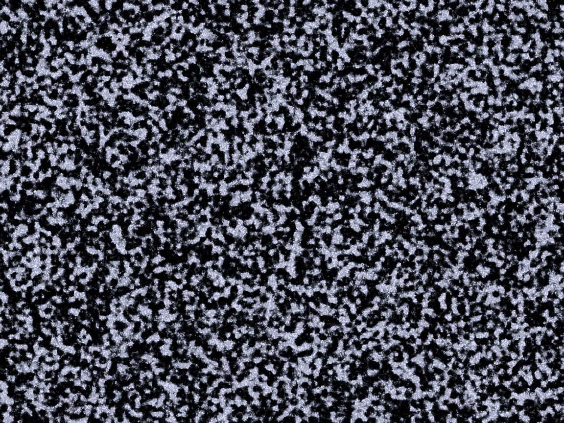 Черно-белый ковролин обои