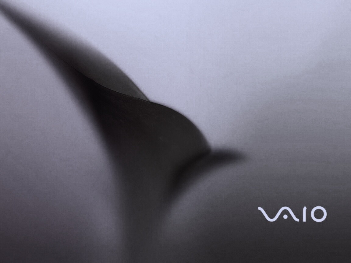 Цветок и логотип Vaio обои