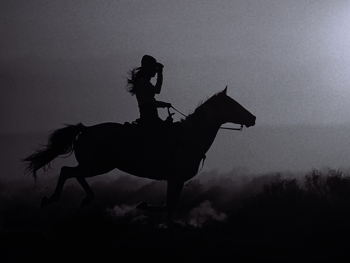 Наездница на закате обои