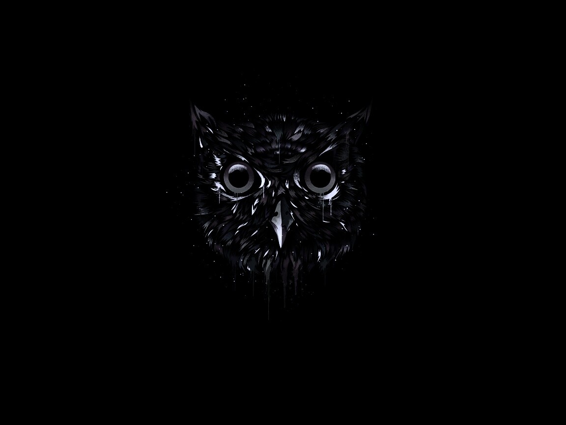 Векторная совиная голова обои