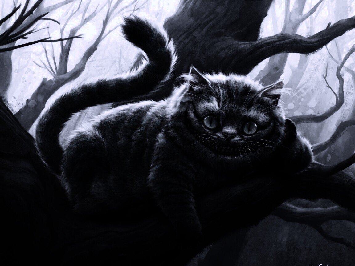 Чеширский кот обои
