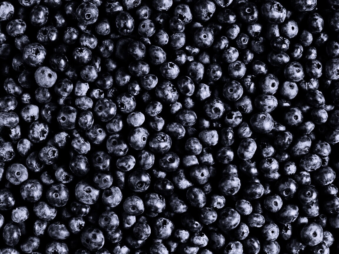 Черника обои