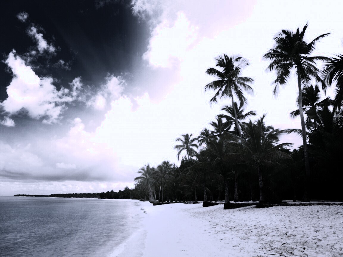 Тропическое побережье обои