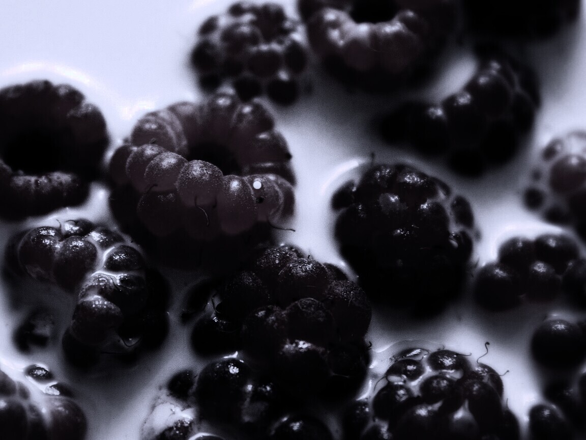 Малина в молоке обои