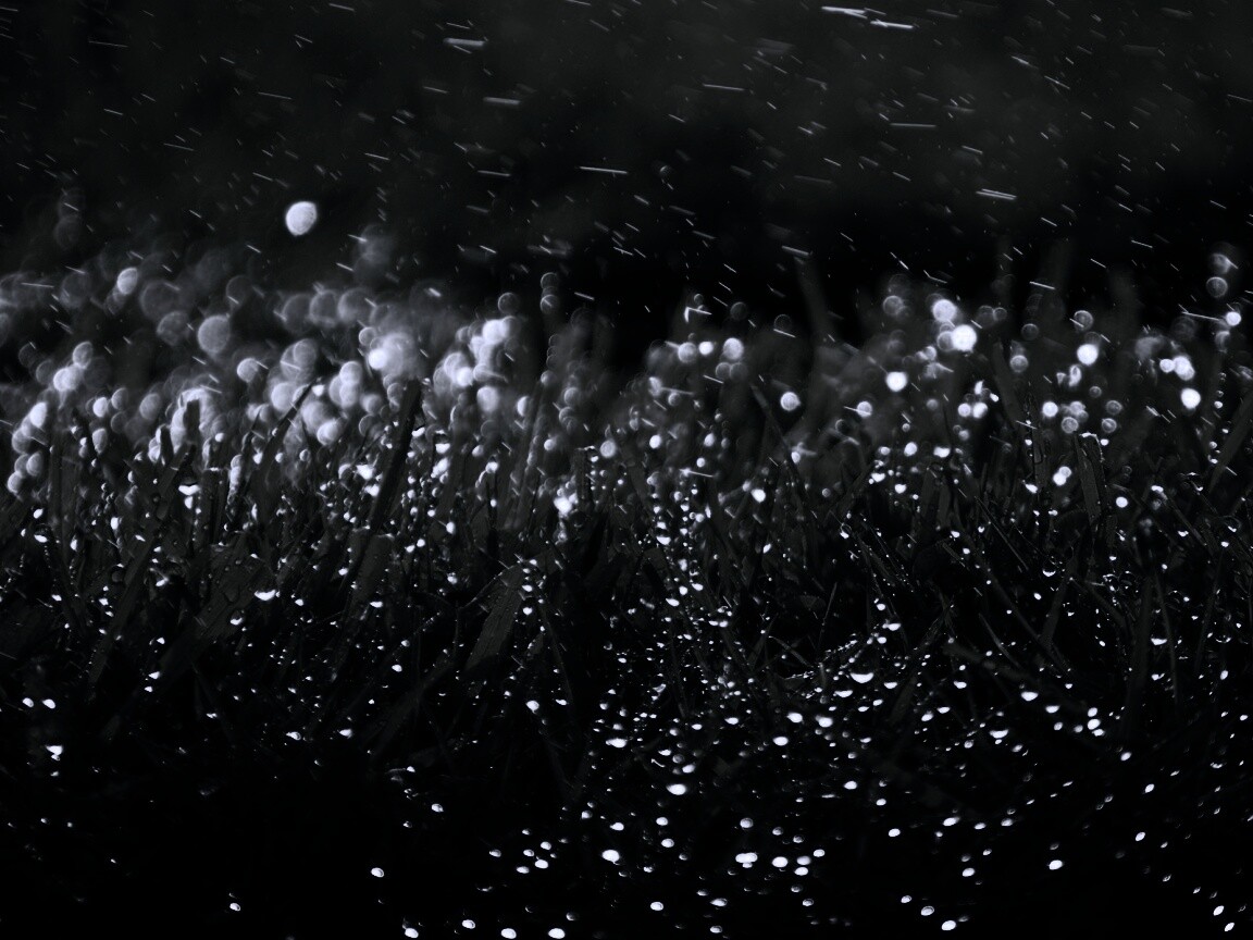 Роса на траве обои