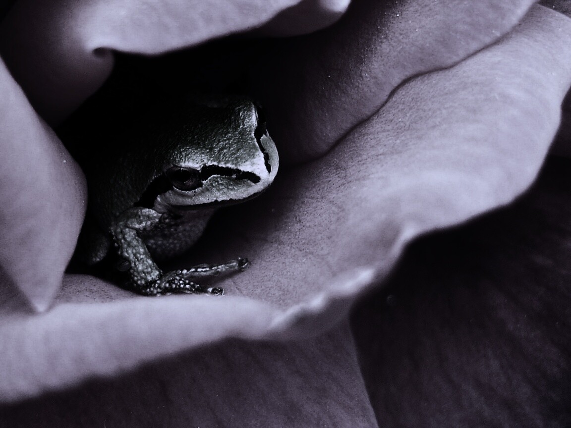 Куда это ты смотришь? обои