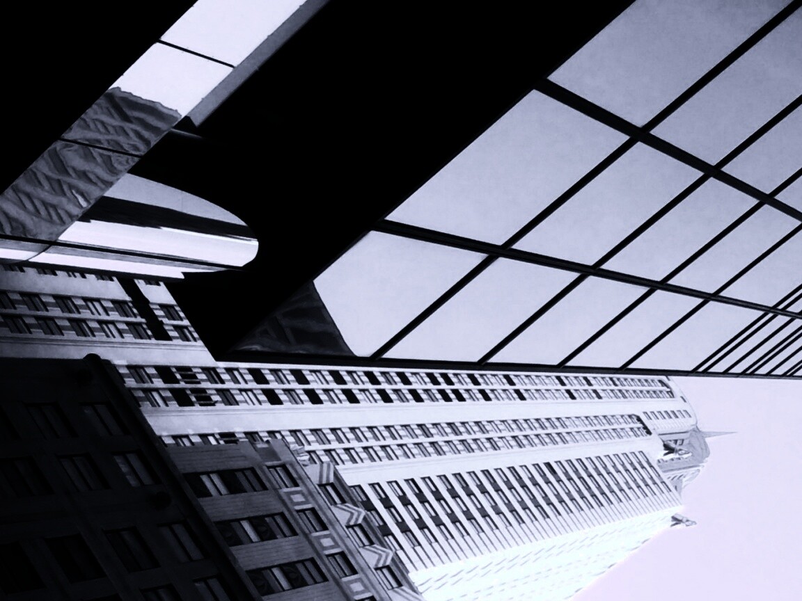 Взгляд вверх обои