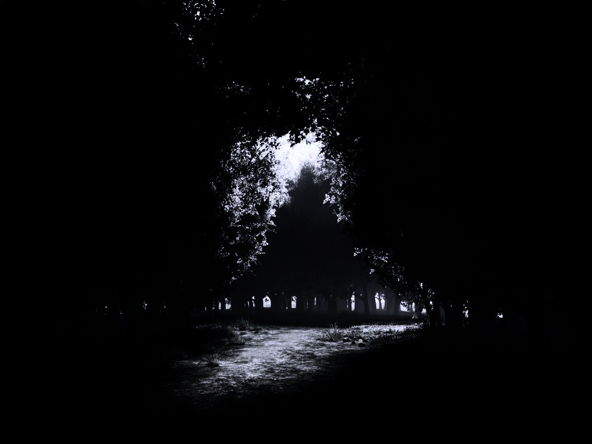 Сумерки в волшебном лесу обои