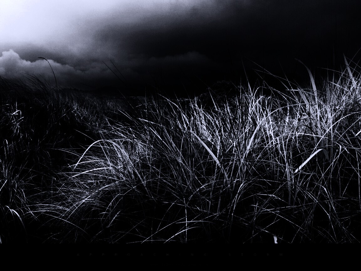 В ожидании шторма обои