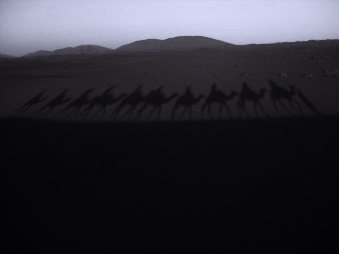 Караван обои