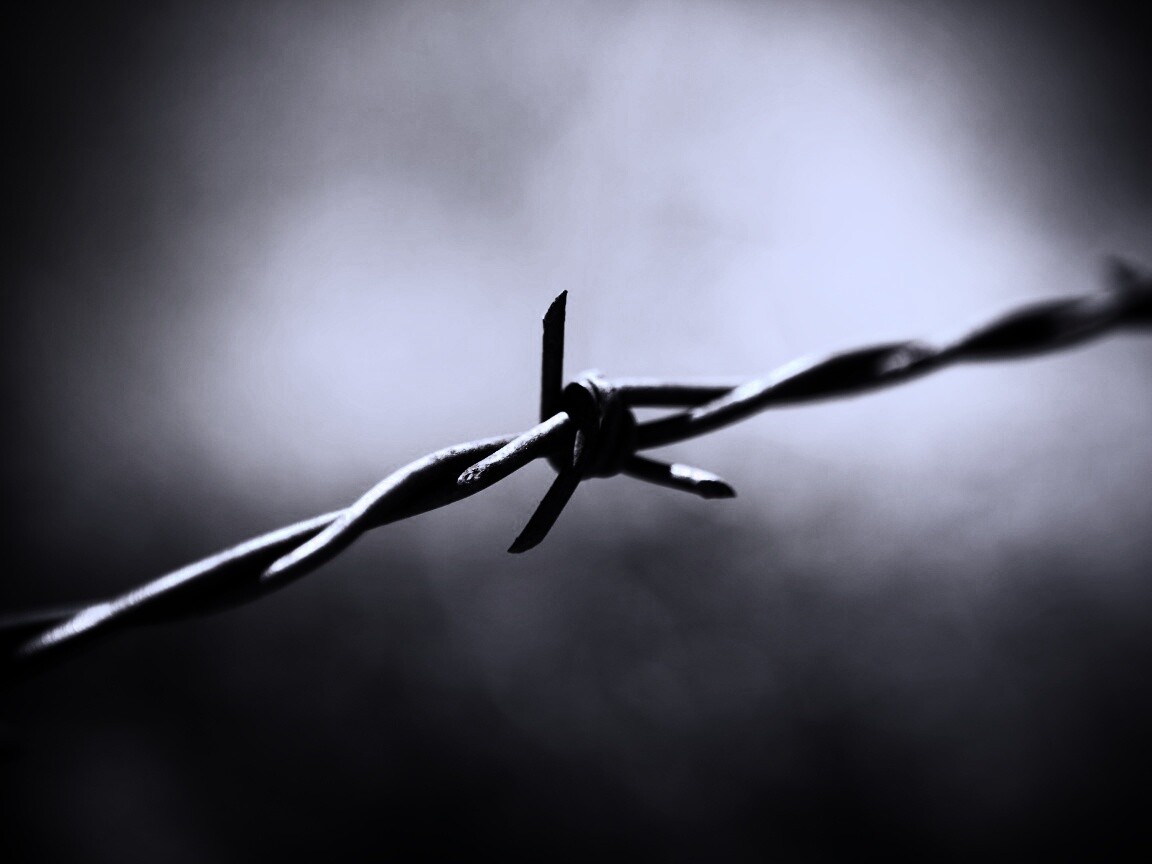 Фото колючей проволоки обои