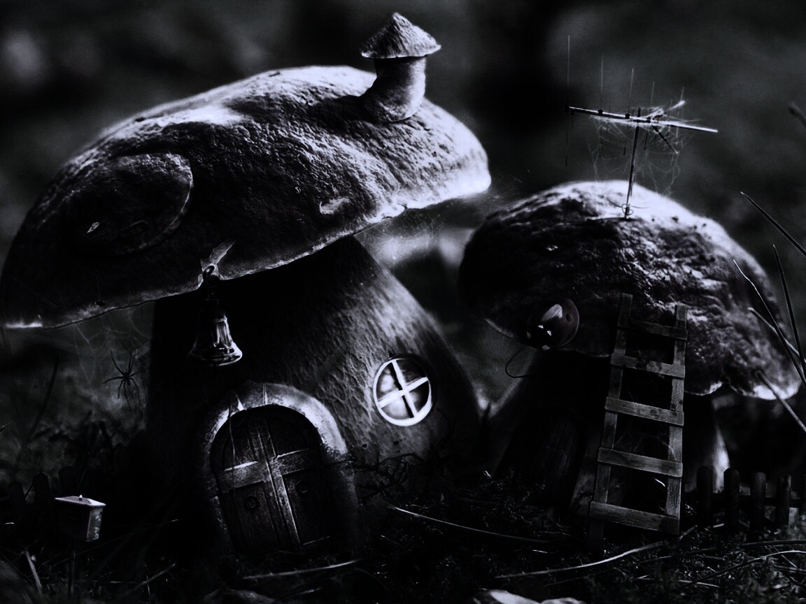 Грибы домики обои