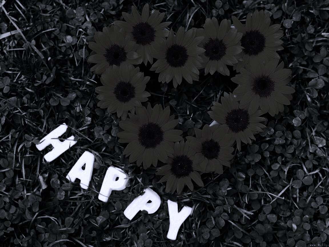 Радость обои