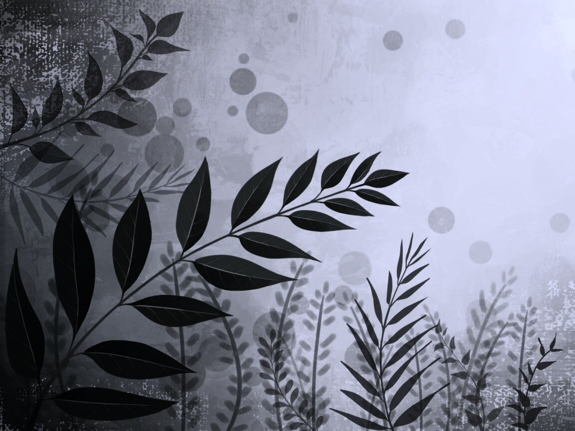 Веточка молодых листьев обои