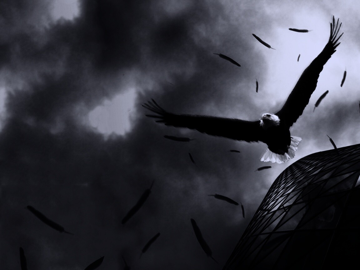 Орлиный полет обои