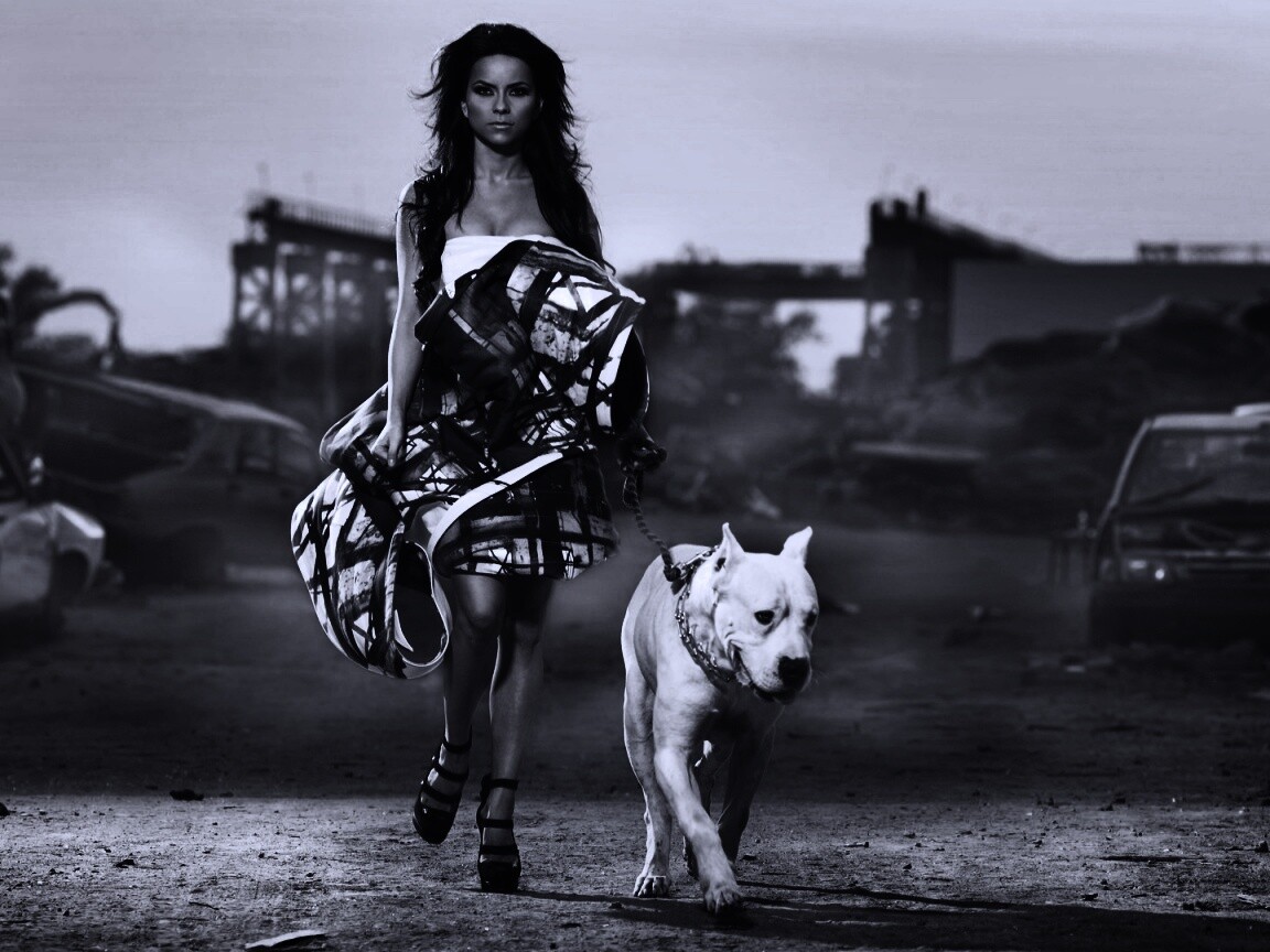 Девушка с питбулем обои