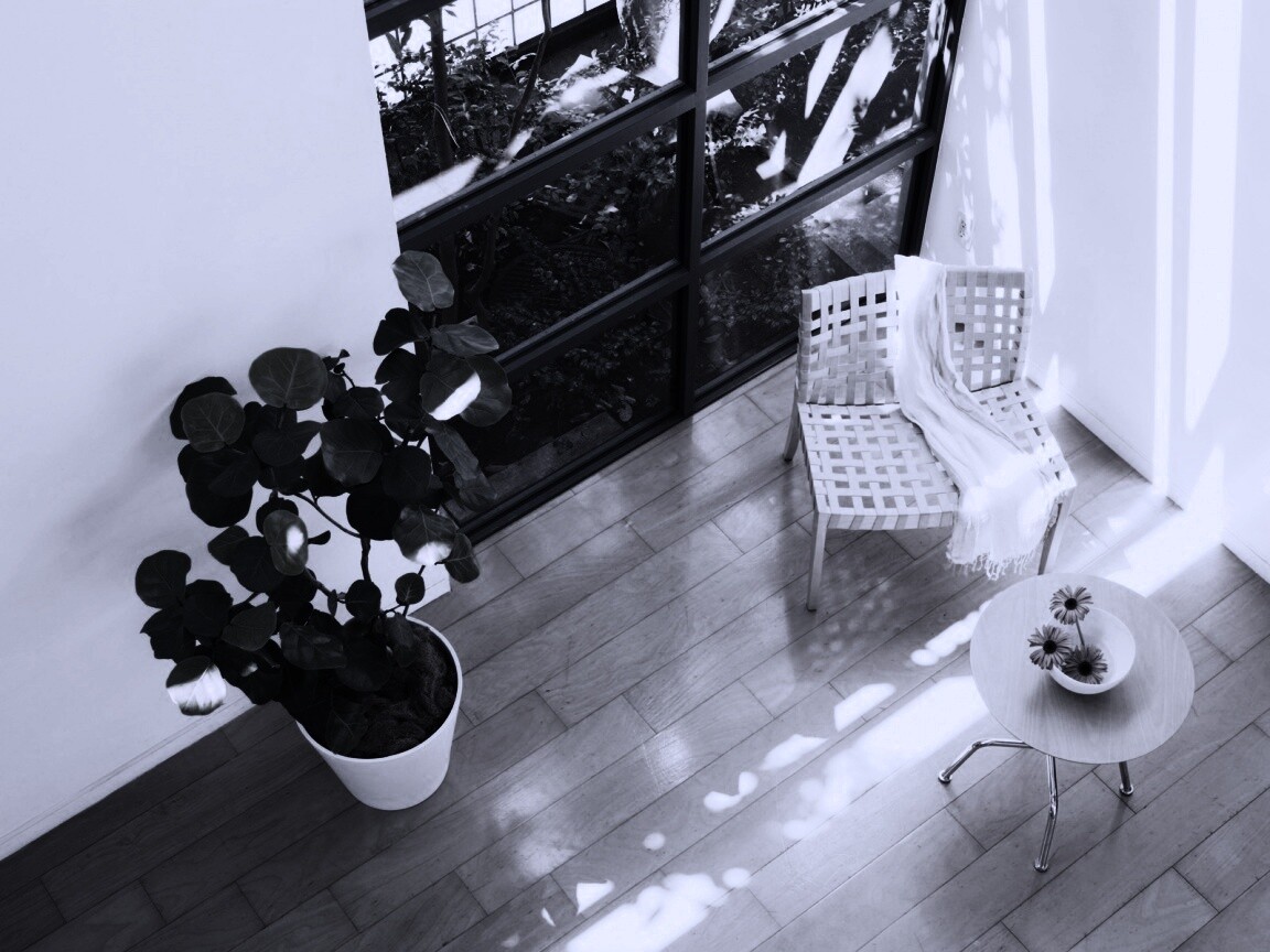 Стул, столик и цветы в комнате обои