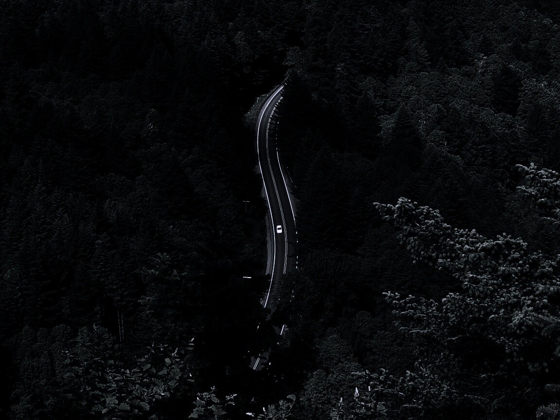 Лесная трасса обои