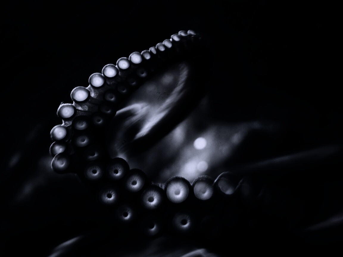 Щупальце обои