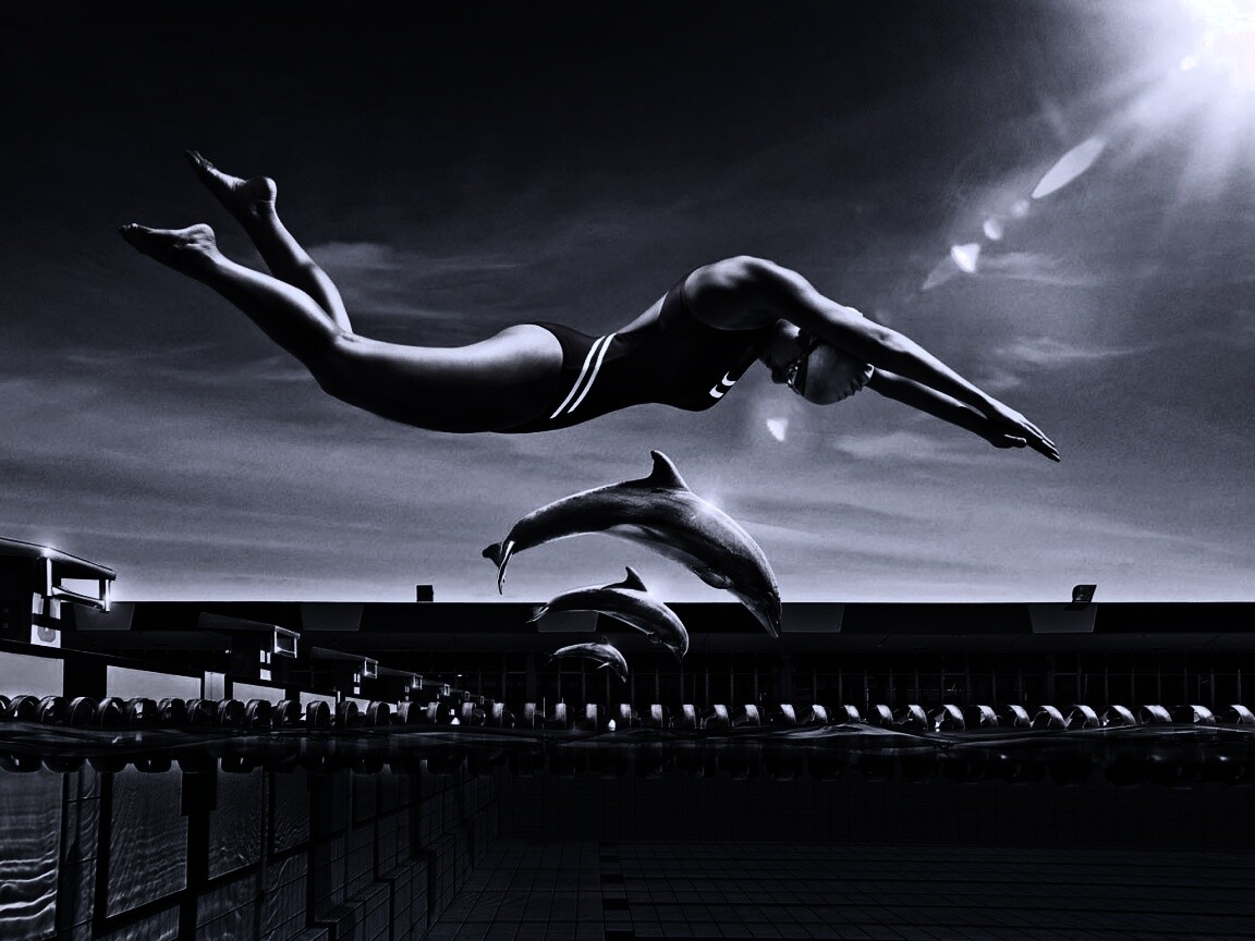 Соревнование обои