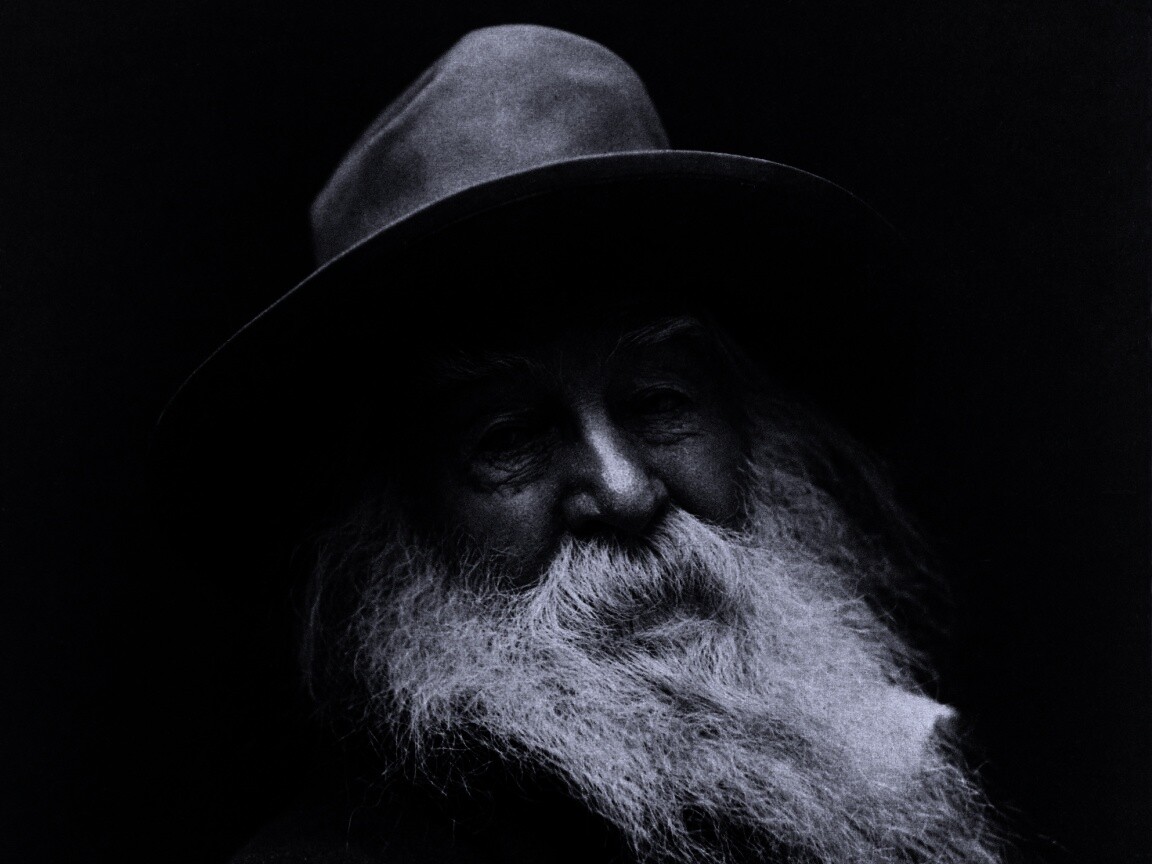 Уолт Уитмен обои