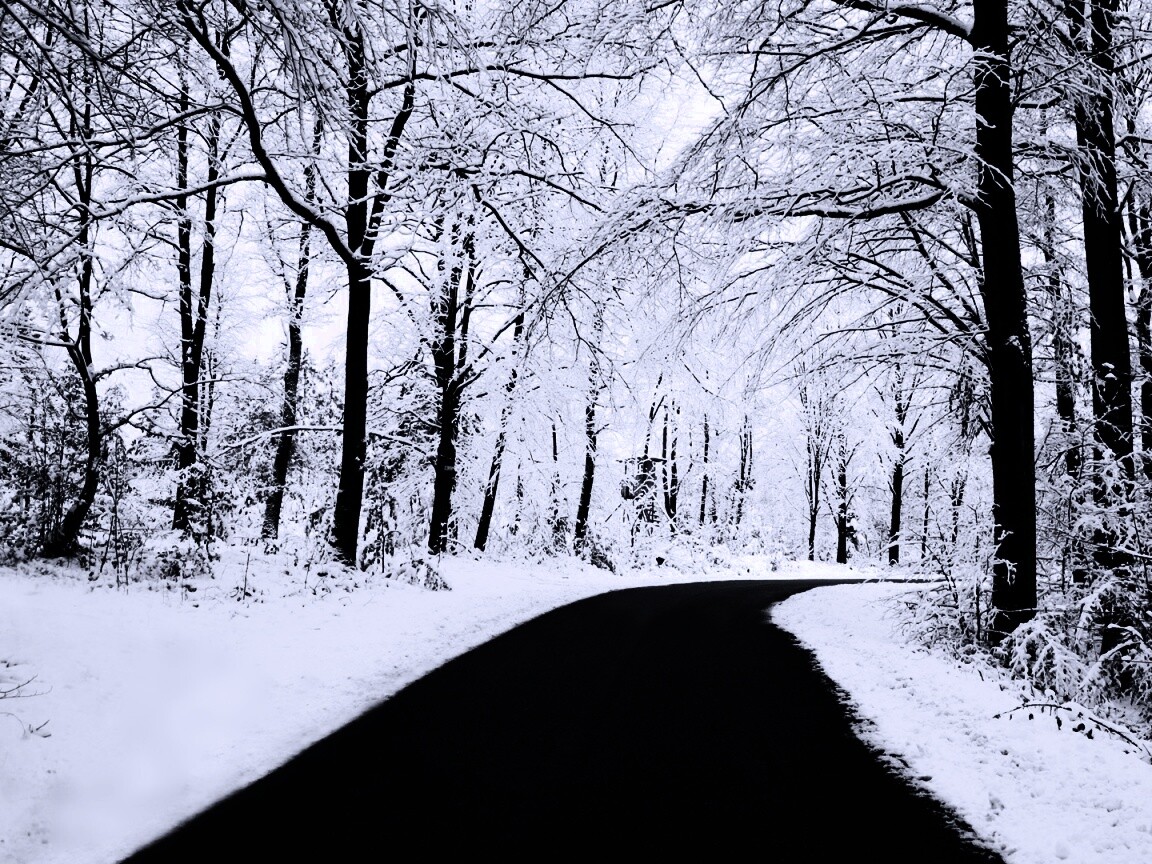 Дорога в зимнем лесу обои