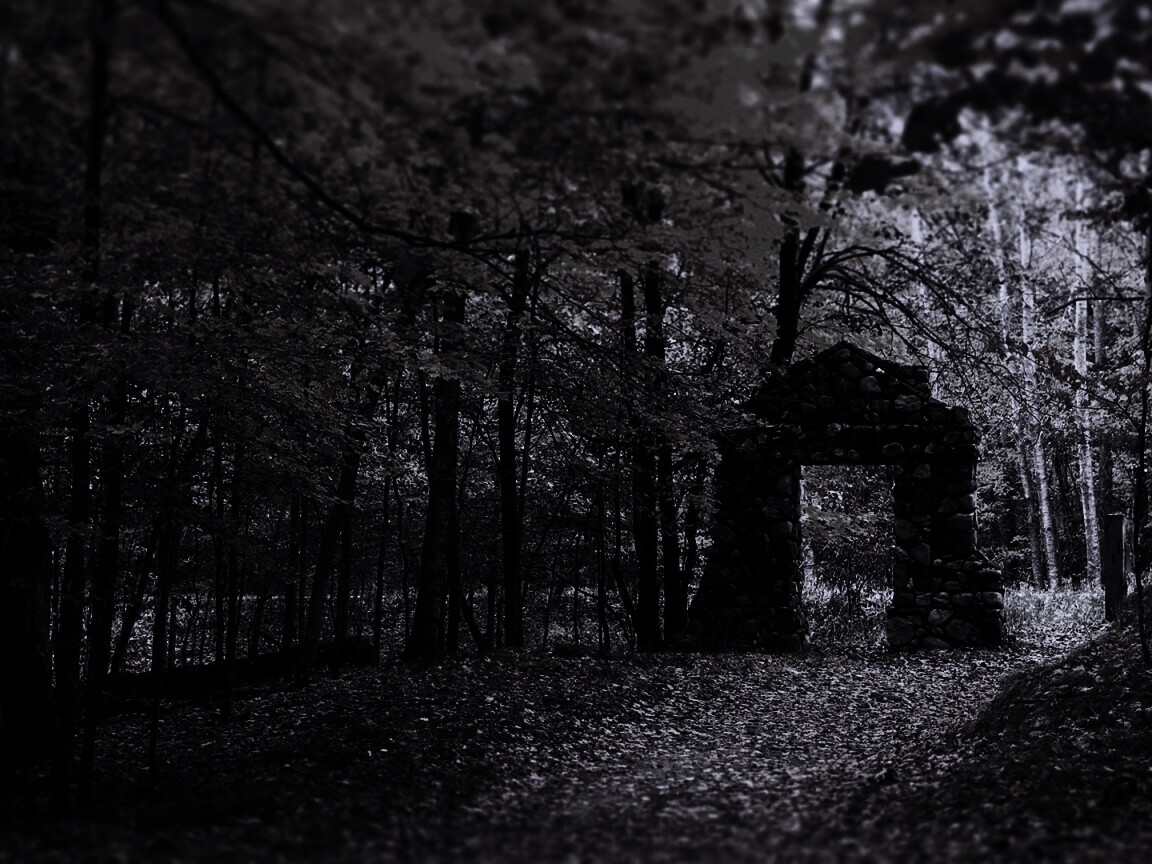 Каменная арка в осеннем лесу обои