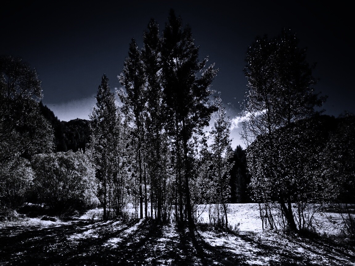 Осень в Новой Зеландии обои