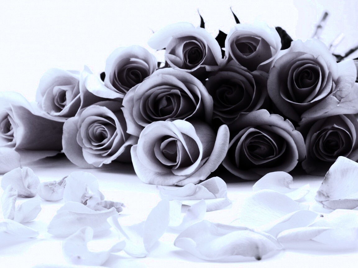 Букет роз обои