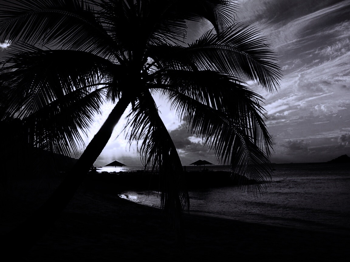 Пляж на закате обои