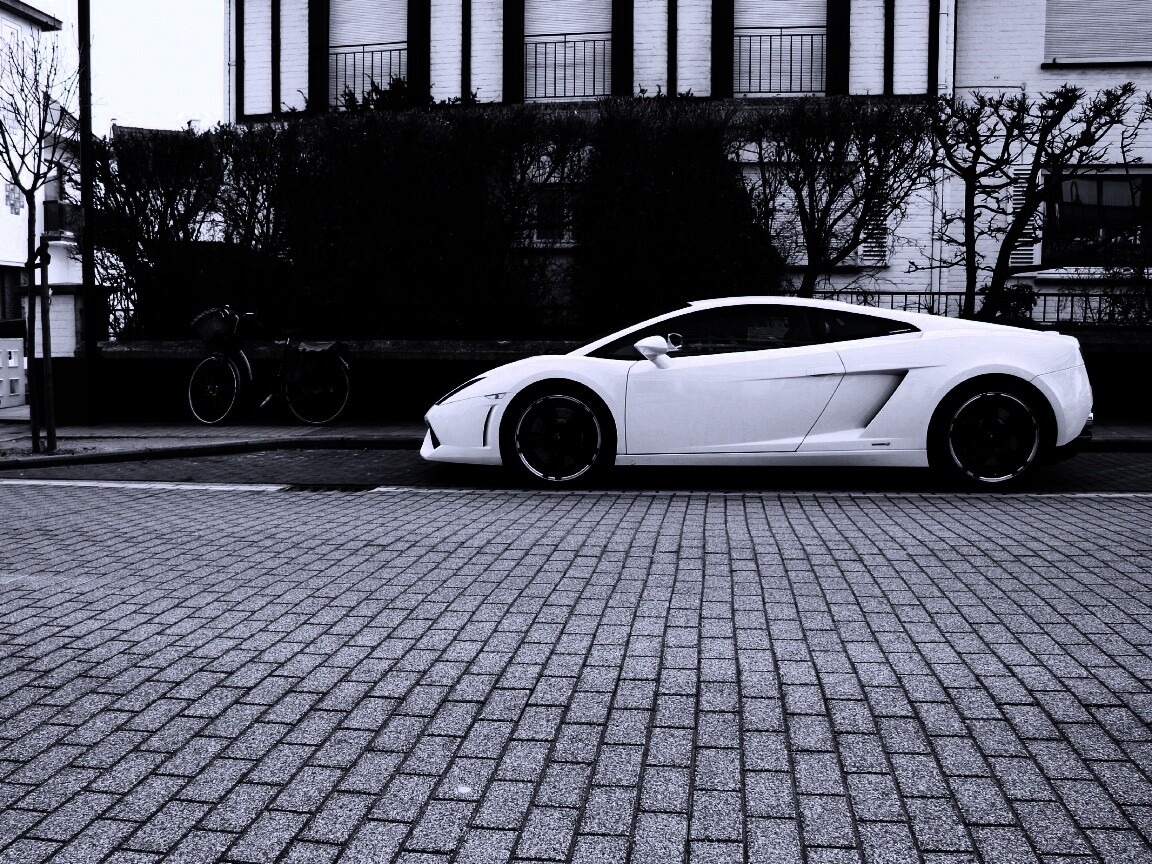 Белый Lamborghini обои