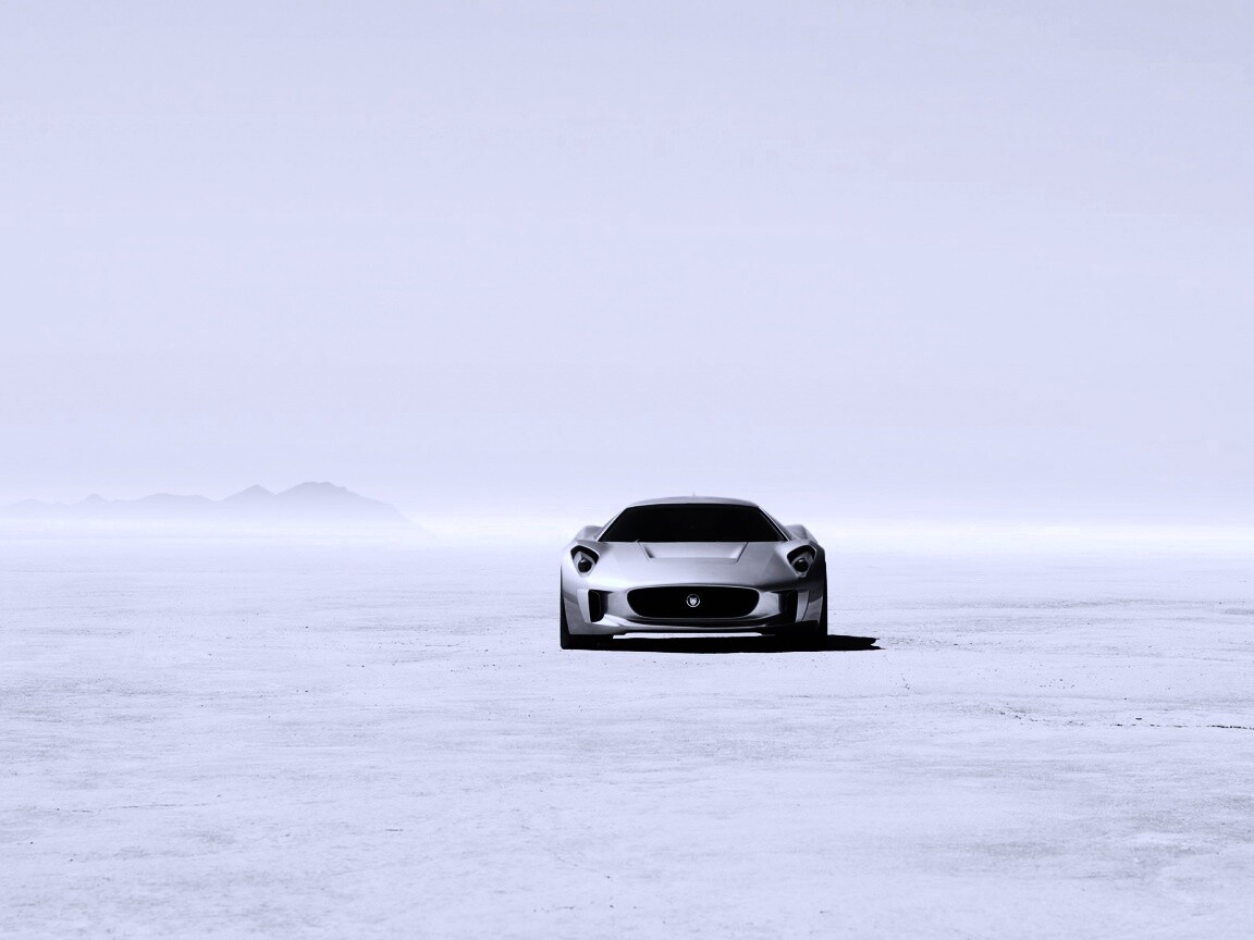 Ягуар подкрадывается обои