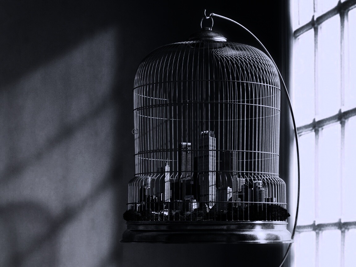 Город в клетке обои