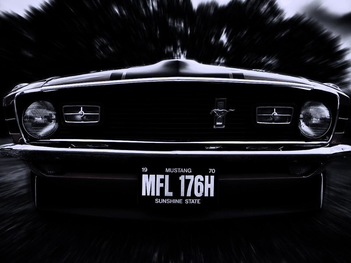 Мустанг обои